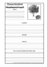 Pflanzensteckbrief-Haselstrauch-SW.pdf
